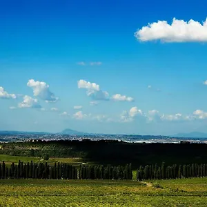 Merumalia Wine Alloggio per agriturismo Frascati